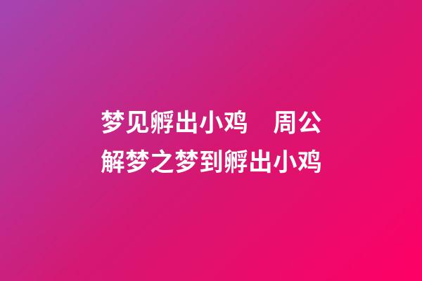 梦见孵出小鸡　周公解梦之梦到孵出小鸡